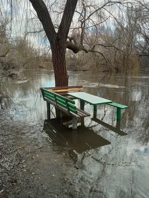 В Ростовской области река Миус может выйти из берегов - KP.RU