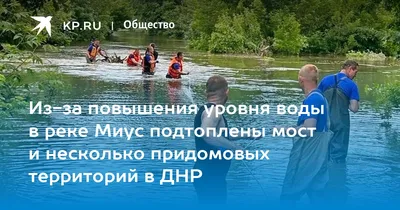 Миус между Троицким и... - Долина реки Миус (Тр. с/п) - Ландшафты и  сообщества - Плантариум