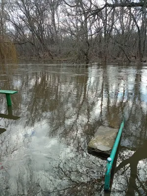 Спасайся кто может: в Ростовской области река Миус может выйти из берегов