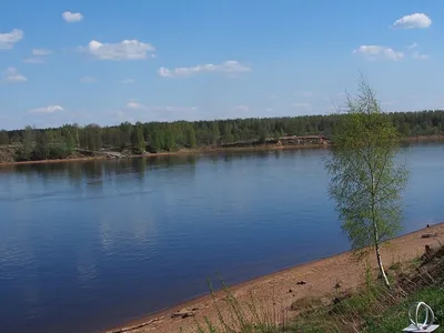 Экологи: Нева не замерзает в морозы из-за сточных вод