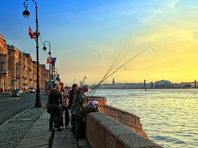 Рыбалка на Неве в городе: что клюет и кого можно поймать Рыбалка в черте  Санкт-Петербурга места: озера пруды и реки