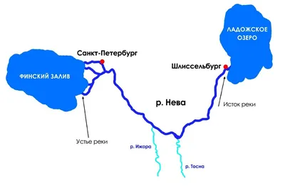 12 интересных фактов о Неве, из которых, вероятно, многим вряд ли известна  даже половина | Путешествия петербуржца | Дзен