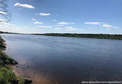 Река Нева в Ленинградской области (Видео)