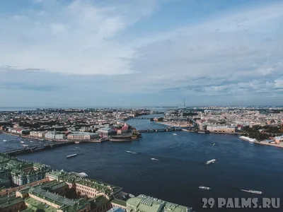 река нева и открытый благовещенский мост санкт-петербург россия Стоковое  Фото - изображение насчитывающей строя, закат: 215815670