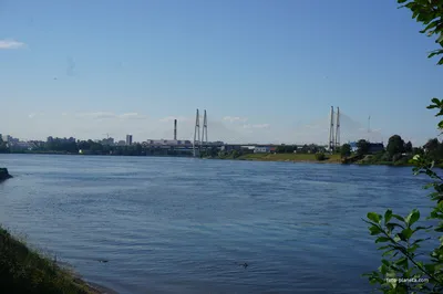 File:148. Отрадное. Река Нева.jpg - Wikimedia Commons