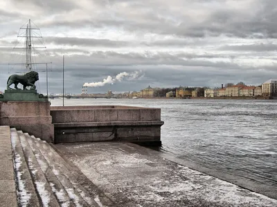 Маёвка в Санкт Петербурге. Река Нева и её особые красоты. | Дневник  Bro.Skate \"Голос из провинции\" | Дзен