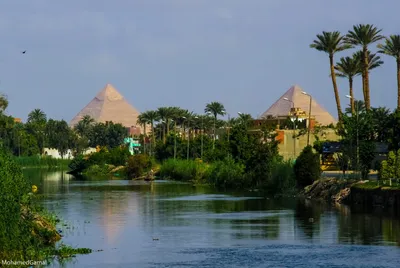 Река Нил в Египте (42 фото) - 42 фото
