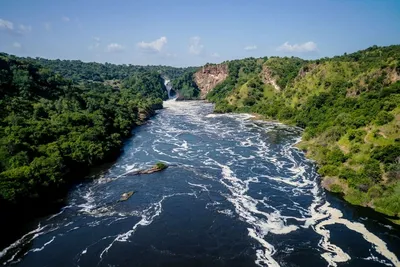 Река Нил в Африке - фото и картинки: 58 штук