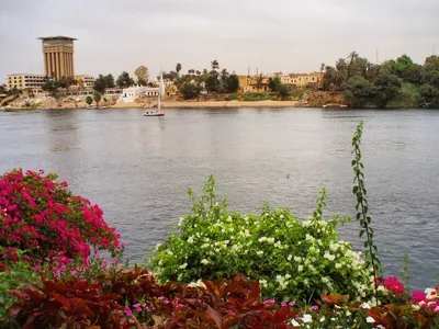 Река Нил в Египте стоковое изображение. изображение насчитывающей ведущего  - 30821847