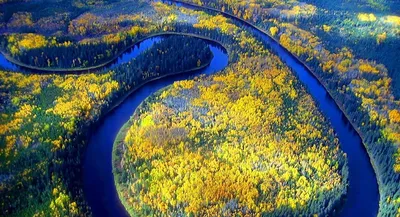В Новосибирской области рекордно обмелела река Обь: в чем причина? - KP.RU