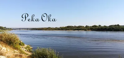 Река Ока — Фото — Водный транспорт