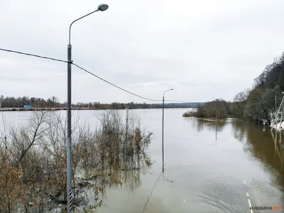 Водный сплав по реке Ока от Касимова до Нижнего Новгорода (длина 406 км) |  Tripmir