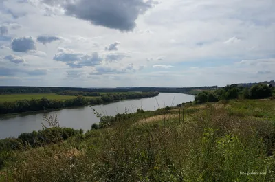 Ока это довольно полноводная река(единственная судоходная в Тульской  области) впадающая в Волгу в Нижегородской области