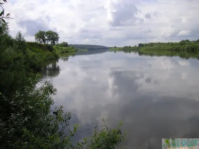 Река Ока и ее древние тайны: подробный обзор географических и исторических  характеристик реки