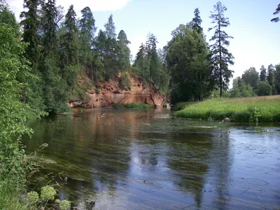 Файл:Oredezh river.jpg — Википедия