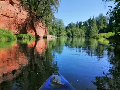 Прогулка на SUP по реке Оредеж | BEAVERS SPb