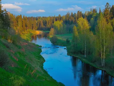 Первый сплав по реке. Оредеж от Сиверского до Вырицы