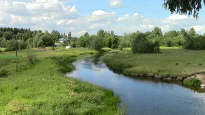 Оредеж Wild: сплав на сапах по реке Оредеж в Ленинградской области