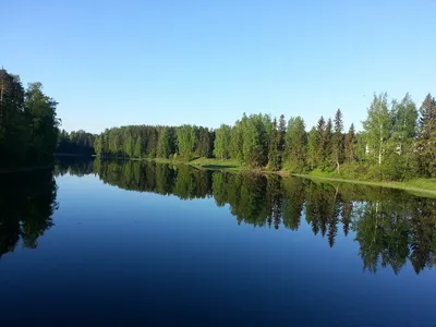 Первый сплав по реке. Оредеж от Сиверского до Вырицы