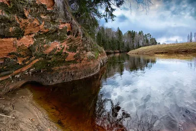 Река Оредеж — Фото №245558