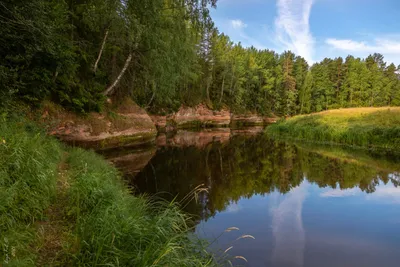 Появилась фотография с места обнаружения тела женщины в реке Оредеж