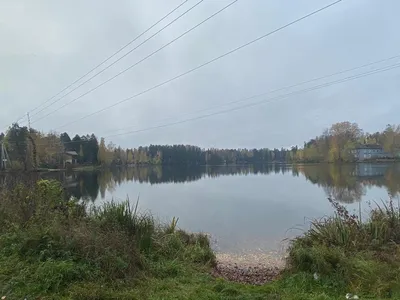 Прогулки на сапах Оредеж недорого – sup-маршрут по реке Оредеж в  Ленинградской области