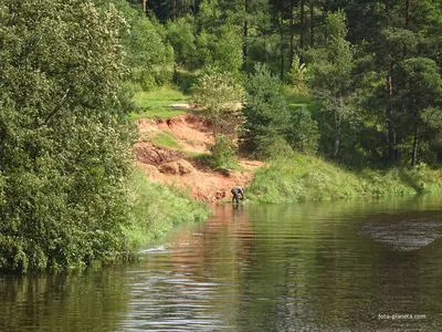 Красивые места на реке Оредеж, деревни Большие и Малые Слудицы и  заброшенная мыза