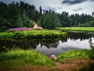 File:Река Оредеж в посёлке Сиверский.JPG - Wikimedia Commons