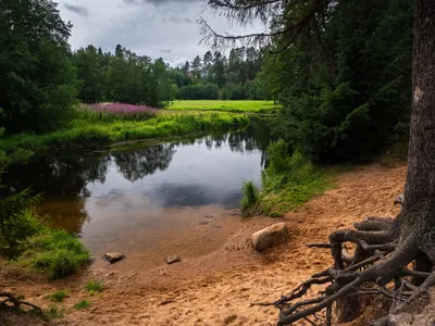 Сплав на байдарках и каяках по реке Оредеж