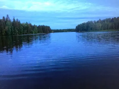Река Оредеж: от Вырицы до Торковичей за семь дней – По лесам и озёрам…