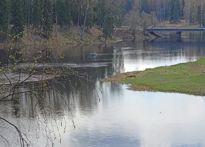 р. Оредеж (Юг и Юго-Запад Ленобласти, Новгородская и Псковская обл.) -  рыбацкие места на fisher.spb.ru (Питерский Клуб Рыбаков)