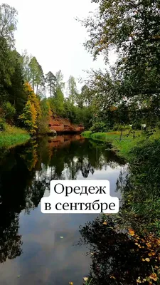 Река Оредеж: от Вырицы до Торковичей за семь дней – По лесам и озёрам…