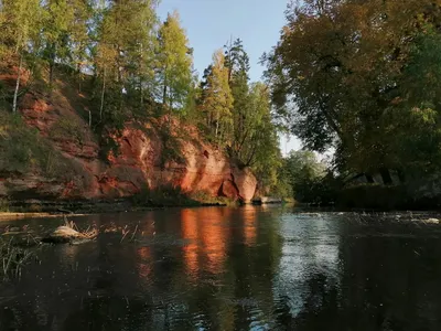 Река Оредеж | Чикино (Гатчинский район) | Фотопланета
