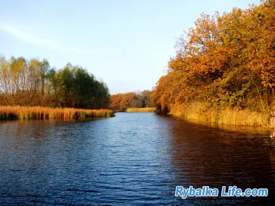 Любимая река Орель / Блог им. Contur / Фотосет / Рыбалка life