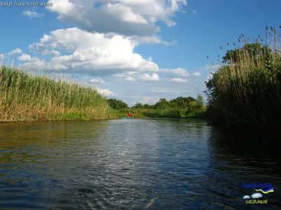 Водный сплав на байдарках по Ореле.