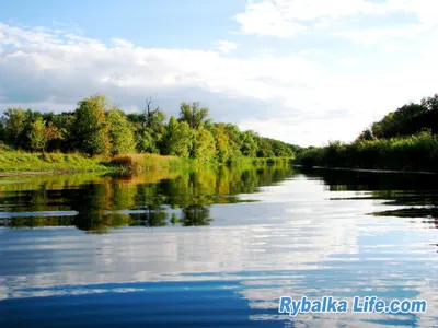 Любимая река Орель / Блог им. Contur / Фотосет / Рыбалка life