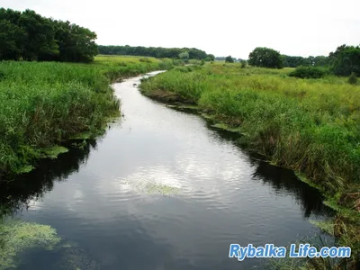 Водный сплав на байдарках по Ореле.