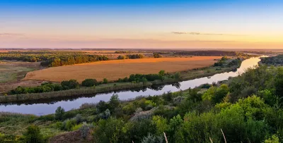 Днепровско-Орельский заповедник как доехать | Блог путешественника  LyapaTravel