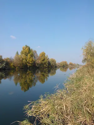 Река Орель. пгт Царичанка :: Владимир Боровков – Социальная сеть ФотоКто