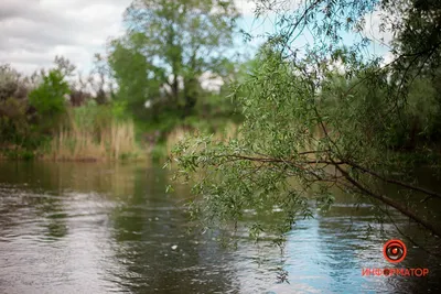 На грани исчезновения: река Орель пересыхает и превращается в болото — Сайт  телеканалу Відкритий