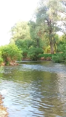 Водный сплав на байдарках по Ореле.