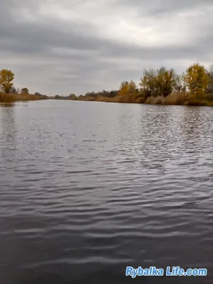 Байдарочный сплав по реке Орель | Тур клуб «Пешком по Украине», 2023