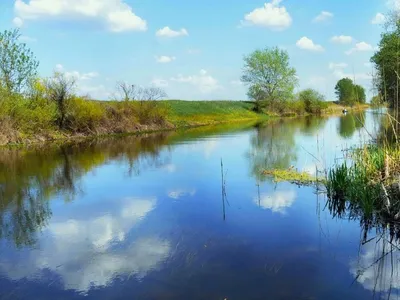 Река Орель (33 фото) »