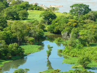 Река Ориноко стоковое фото. изображение насчитывающей венесуэла - 110894516