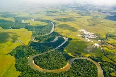 Дельта реки Ориноко в Венесуэле Стоковое Фото - изображение насчитывающей  южно, вал: 197577338