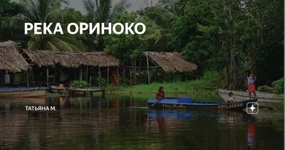 До делтата на река Ориноко във Венецуела със Северина Маркова - Познание -  БНР Новини