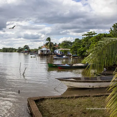Река Ориноко Венесуэла стоковое изображение. изображение насчитывающей  ориноко - 110895107
