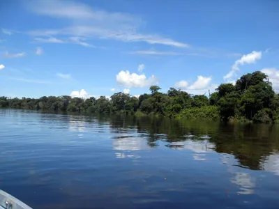 Река Ориноко и её дельта (атлантическое побережье Венесуэлы) | Леонид  Вахрушев | Дзен