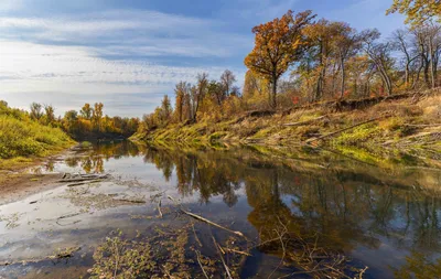 Река осенью фото фото
