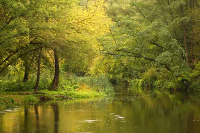 Фото Осенняя река - фотограф Ondrej Tichy | Пейзажи, Осенний пейзаж,  Рисунки пейзажей